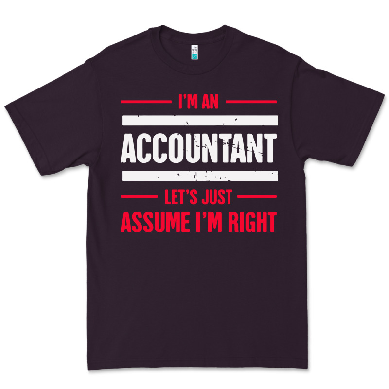 Funny Accounting Design   Gift For Accountants Premium Tee by artisFamous | Teevron