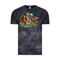 Cloud Black Happy Fall Y'all Owl Vintage Tee - LillyAllenDesigns
