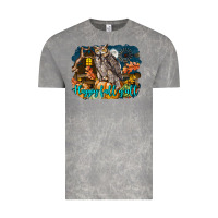 Cloud Rock Happy Fall Y'all Owl Vintage Tee - LillyAllenDesigns