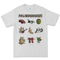 Dove Grey palindromes! Premium Tee - artisFamous