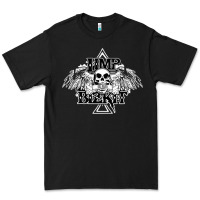 Black Limp Bizkit Essential Premium Tee - artisFamous