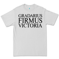 Dove Grey gradarius firmus victoria Premium Tee - artisFamous