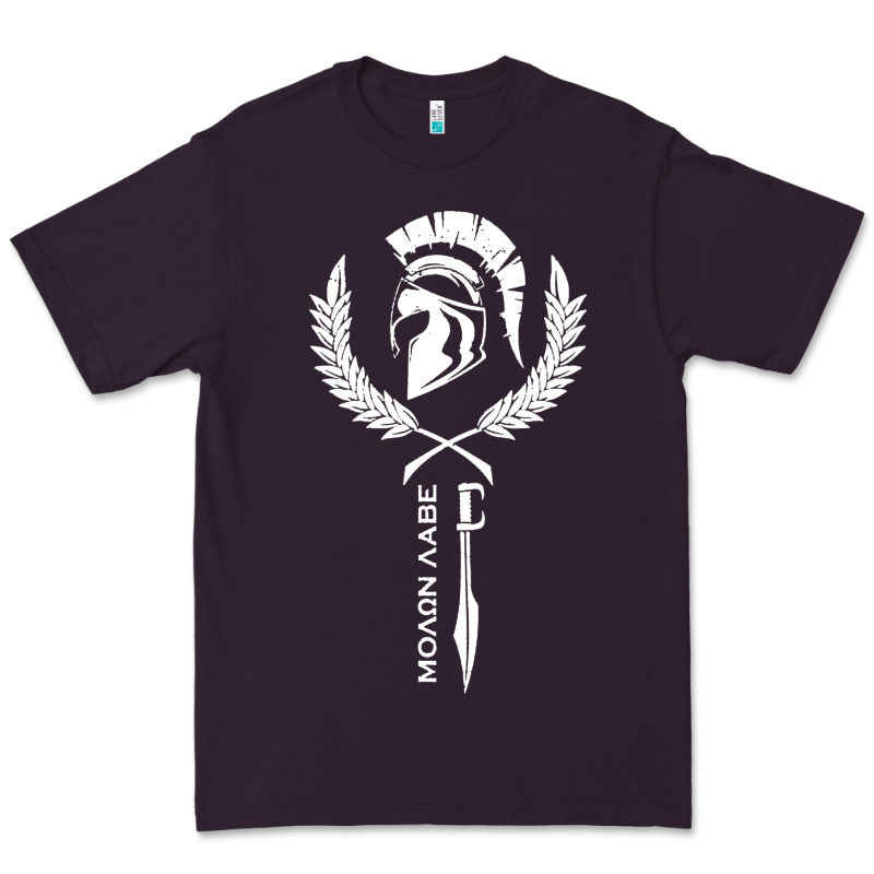 Sparta Krieger Fitness   Molon Labe Premium Tee by artisFamous | Teevron