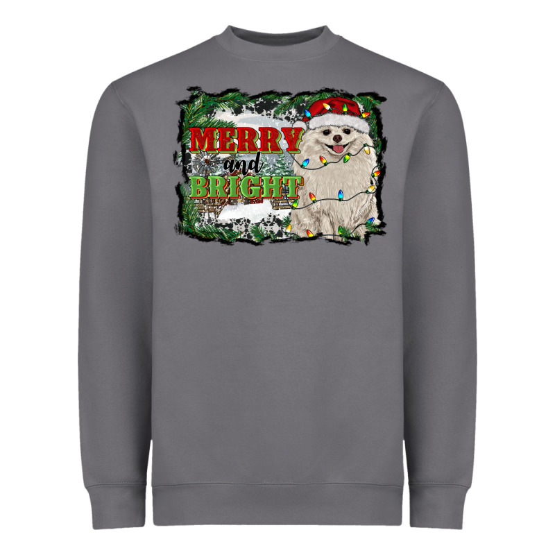 Merry And Bright Pomeranian Heavyweight Sweatshirt by RanaPortraitStore | Teevron