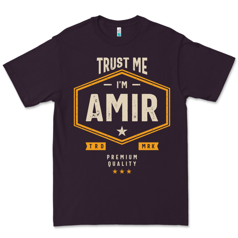 Amir Personalized Name Birthday Gift Premium Tee by artisFamous | Teevron