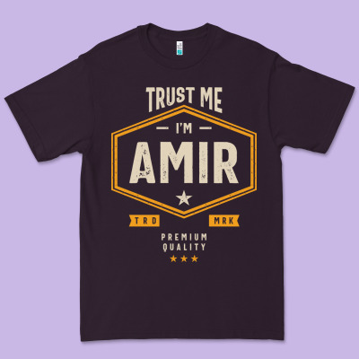 Amir Personalized Name Birthday Gift Premium Tee Designed By Artisfamous