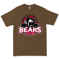 Cacao lenoir rhyne gifts Premium Tee - artisFamous