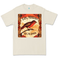 Bone Van Morrison Music Premium Tee - artisFamous