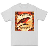 Dove Grey Van Morrison Music Premium Tee - artisFamous