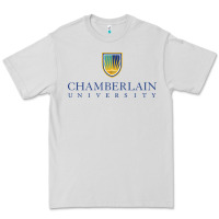 Dove Grey Chamberlain College Nursing Premium Tee - artisFamous
