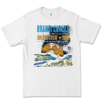 White Brandi Carlile Poster Premium Tee - artisFamous