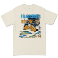 Bone Brandi Carlile Poster Premium Tee - artisFamous