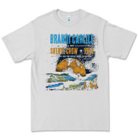 Dove Grey Brandi Carlile Poster Premium Tee - artisFamous