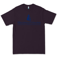 Plum Hillsdale College Premium Tee - artisFamous
