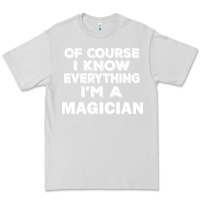 Dove Grey i know everything i'm a magician Premium Tee - artisFamous