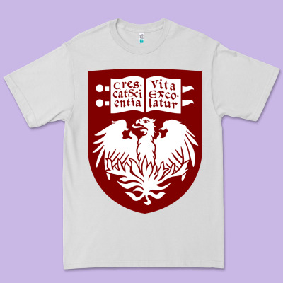 College Of Chicago Premium Tee Designed By Artisfamous