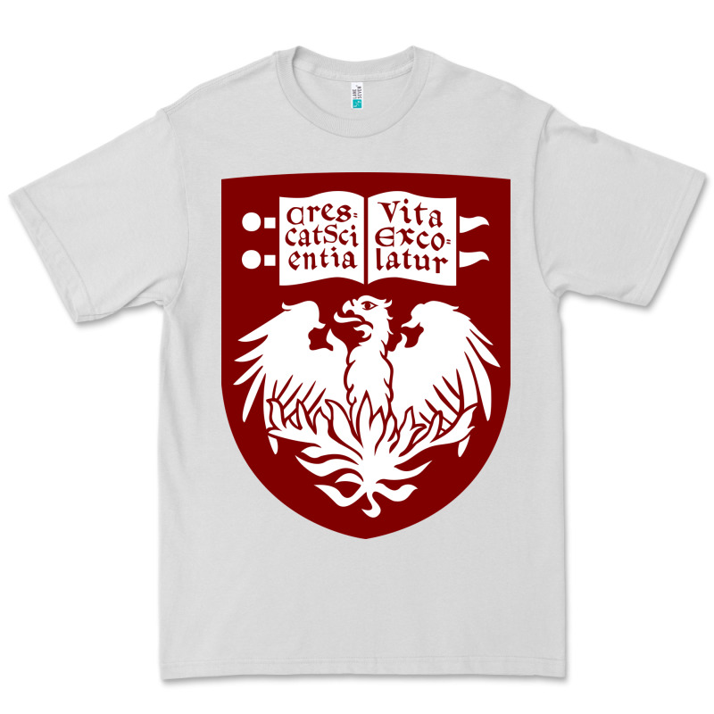 College Of Chicago Premium Tee by artisFamous | Teevron