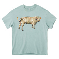 Arona charolais bull Heavy Core Tee - RanaPortraitStore