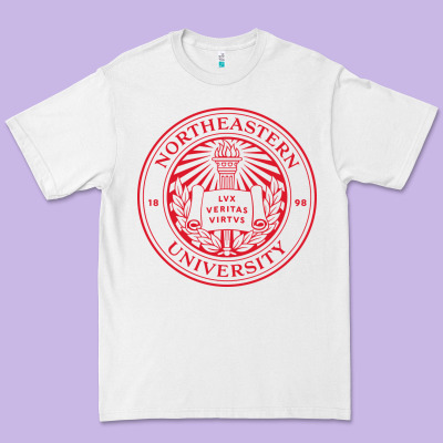 Northeastern University Premium Tee Designed By Artisfamous