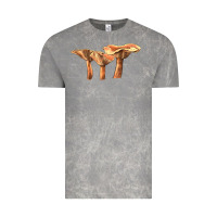 Cloud Rock Lactarius Rufus Mushroom Illustrations Vintage Tee - LillyAllenDesigns