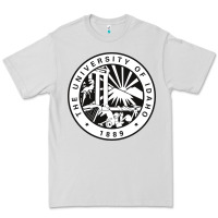 Dove Grey university of idaho Premium Tee - artisFamous