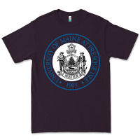 Plum university of maine at presque isle Premium Tee - artisFamous