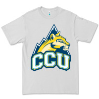 Dove Grey colorado christian Premium Tee - artisFamous
