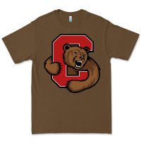 Cacao cornell big red Premium Tee - artisFamous