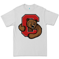 Dove Grey cornell big red Premium Tee - artisFamous