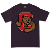 Plum cornell big red Premium Tee - artisFamous