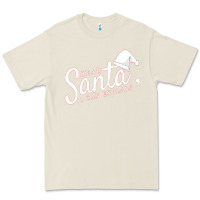 Bone Dear Santa I Can Explain Premium Tee - artisFamous