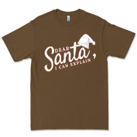 Cacao Dear Santa I Can Explain Premium Tee - artisFamous