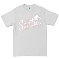 Dove Grey Dear Santa I Can Explain Premium Tee - artisFamous