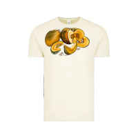 Vintage Arctic Pumpkin Vintage Tee - LillyAllenDesigns