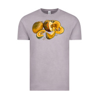Vintage Zinc Pumpkin Vintage Tee - LillyAllenDesigns