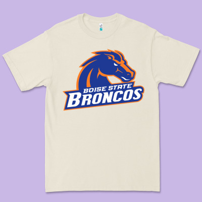 Boise Design Premium Tee Designed By Artisfamous