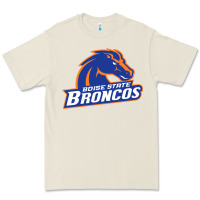 Boise Design Premium Tee | Teevron