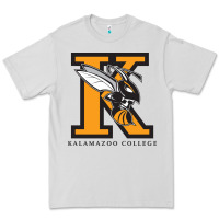 Dove Grey kalamazoo college Premium Tee - artisFamous
