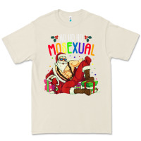 Bone mens ho ho ho mosexual Premium Tee - DesigneFamous