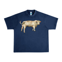 Navy charolais bull Urban Heavy Tee - RanaPortraitStore