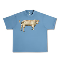 Pebble Blue charolais bull Urban Heavy Tee - RanaPortraitStore