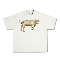 Pistachio charolais bull Urban Heavy Tee - RanaPortraitStore