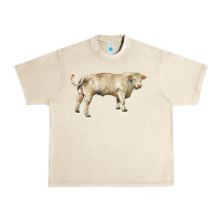 Sandshell charolais bull Urban Heavy Tee - RanaPortraitStore