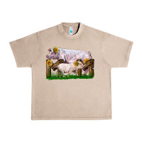 French Oak Mom With White Chester Pig And Baby Pig Urban Heavy Tee - LillyAllenDesigns