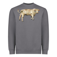 Storm charolais bull Heavyweight Sweatshirt - RanaPortraitStore