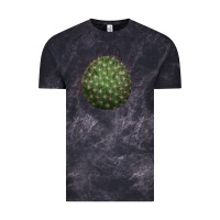 Cloud Black Arizona Fishhook Cactus Vintage Tee - LillyAllenDesigns