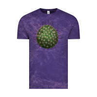 Cloud Purple Arizona Fishhook Cactus Vintage Tee - LillyAllenDesigns