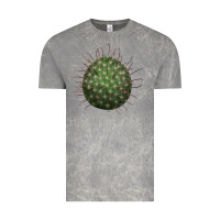 Cloud Rock Arizona Fishhook Cactus Vintage Tee - LillyAllenDesigns