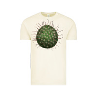 Vintage Arctic Arizona Fishhook Cactus Vintage Tee - LillyAllenDesigns