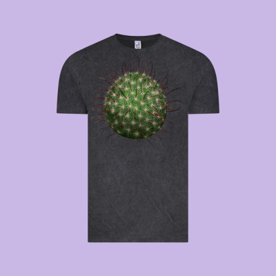 Arizona Fishhook Cactus Vintage Tee Designed By Lillyallendesigns